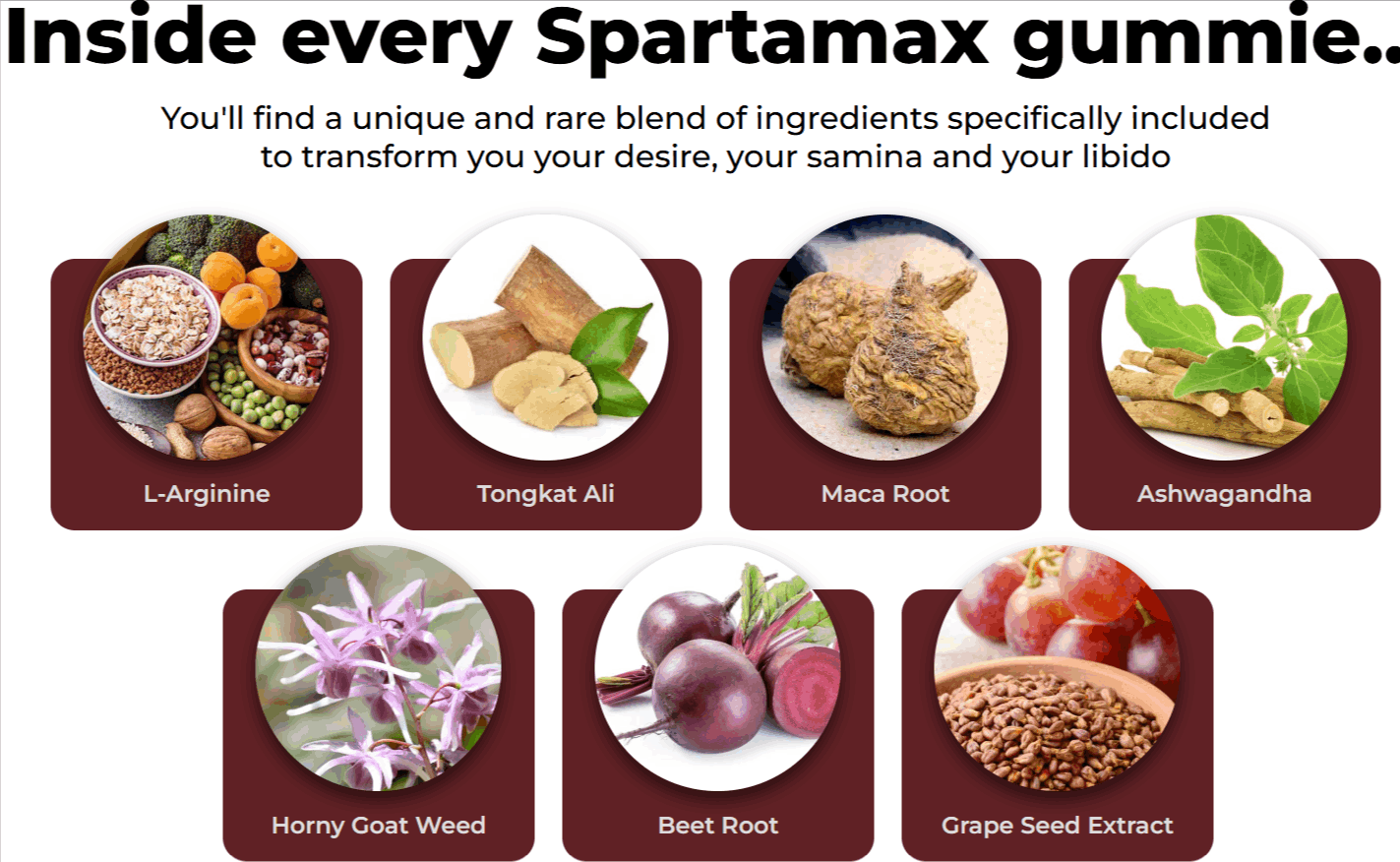 Spartamax-Maximum-Performance